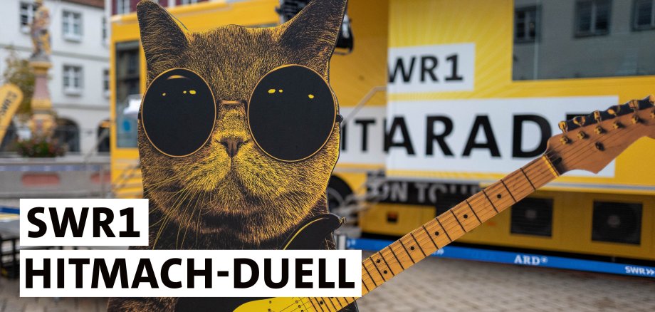 Katze mit Gitarre und Sonnenbrille vor einem Übertragungswagen von SWR1